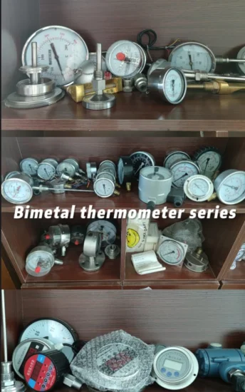 Edelstahl-Bodenthermometer Serie Industria Loil Transformer Industrielles Bimetall-Thermometer